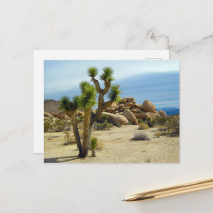 Wüstensukkulturen, Steine und Himmel aus Kaliforni Postkarte