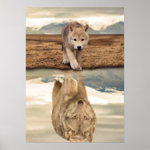 WüstenWolf Pup Water Reflection Poster