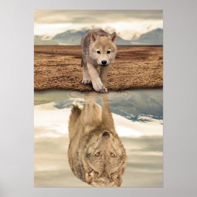 WüstenWolf Pup Water Reflection Poster (Vorne)
