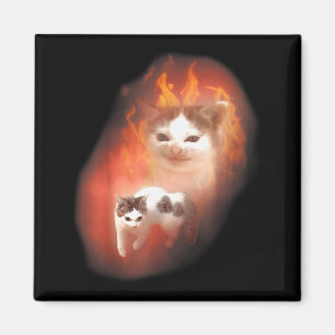 Wütende Katze Meme Lustige Alberne Katze Katzenlie Magnet