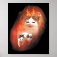Wütende Katzen-Meme Lustige Alberne Katze Katzenli