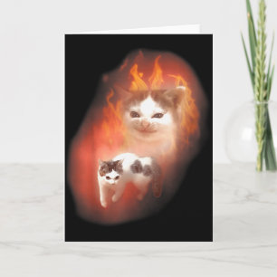 Wütende Katzen-Meme Lustige Verrückte Katze Katzen Karte