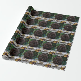 Wütende schwarze Katze Geschenkpapier