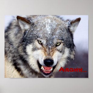 wütender Wolf Poster