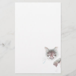 Wütendes süßes Katzen-Gesichtsskizze Briefpapier