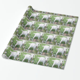 WV landschaftliches Verpackungs-Papier-Foto 5 Geschenkpapier