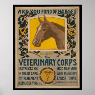 WW1 VINTAGER Tierarzt. Corps POSTER