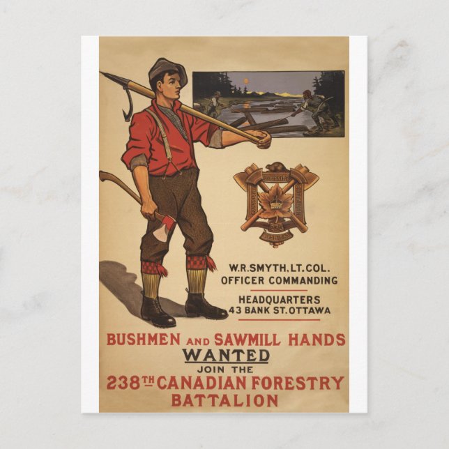 WW I ~ 238. Kanadisches Forstbataillon 1915 Postkarte (Vorderseite)