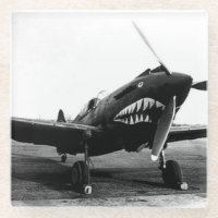 WWII Flying Tigers Curtiss P-40 Fighter Flugzeug