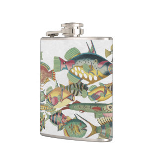 WWW FISH FLACHMANN