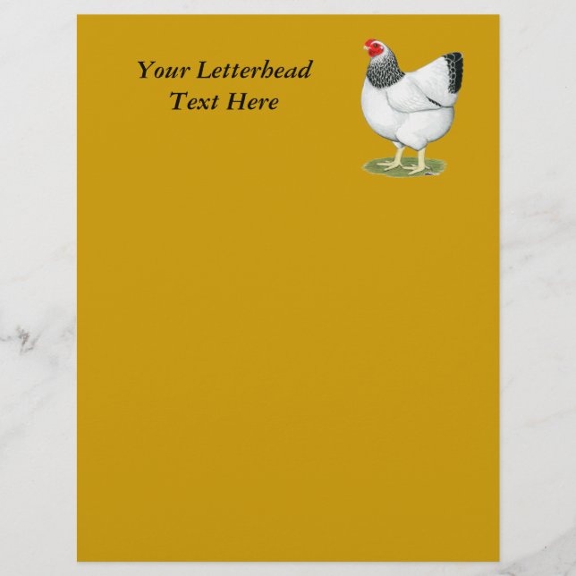 Wyandotte: Columbian Hen (Vorderseite)