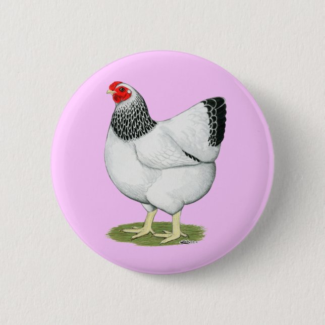 Wyandotte:  Columbian Hen Button (Vorderseite)