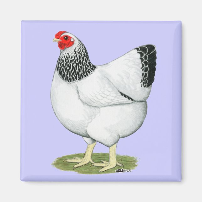 Wyandotte: Columbian Hen Magnet (Vorne)