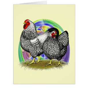 Wyandotte: Ostereierpaare