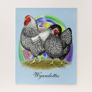 Wyandotte: Ostereierpaare
