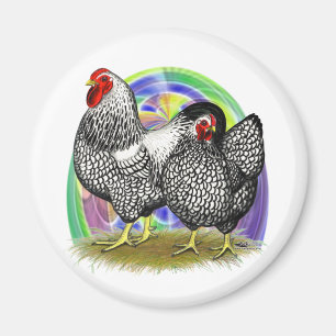 Wyandotte: Ostereierpaare Magnet