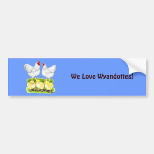 Wyandotte weiße Huhn-Familie Autoaufkleber