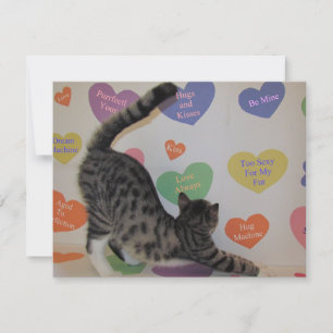 Wyatt's Valentine - Katze / Kitten - Flachkarte Feiertagskarte