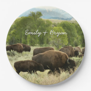 Wyoming Bison Natur Tierfotografie Pappteller