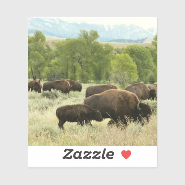 Wyoming Bison Nature Animal Fotografy Aufkleber (Blatt)