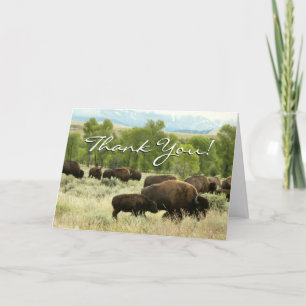 Wyoming Bison Nature Animal Fotografy Dankeskarte