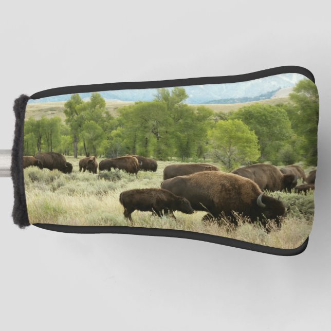 Wyoming Bison Nature Animal Fotografy Golf Headcover (Vorderseite)