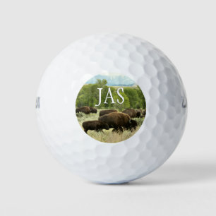 Wyoming Bison Nature Animal Fotografy Golfball