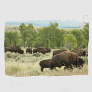 Wyoming Bison Nature Animal Fotografy Golfhandtuch