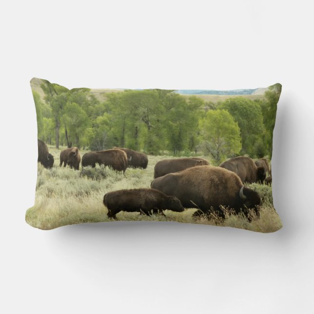 Wyoming Bison Nature Animal Fotografy Lendenkissen (Vorderseite)