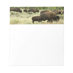 Wyoming Bison Nature Animal Fotografy Notizblock