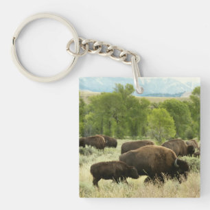 Wyoming Bison Nature Animal Fotografy Schlüsselanhänger