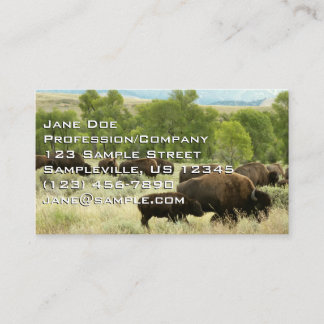 Wyoming Bison Nature Animal Fotografy Visitenkarte