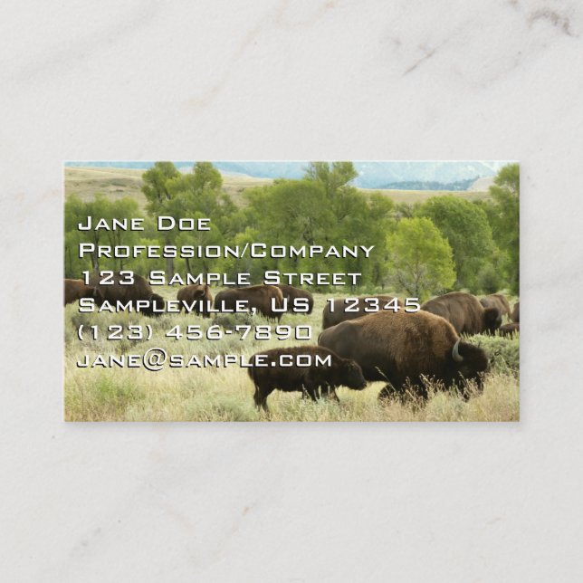 Wyoming Bison Nature Animal Fotografy Visitenkarte (Vorderseite)