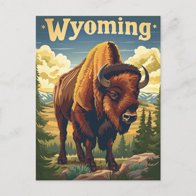 Wyoming Bison Postkarte (Vorderseite)