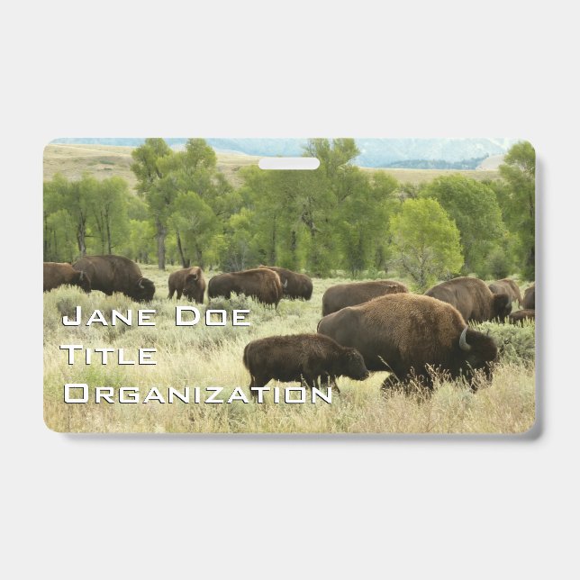 Wyoming Bisons Ausweis (Vorderseite)