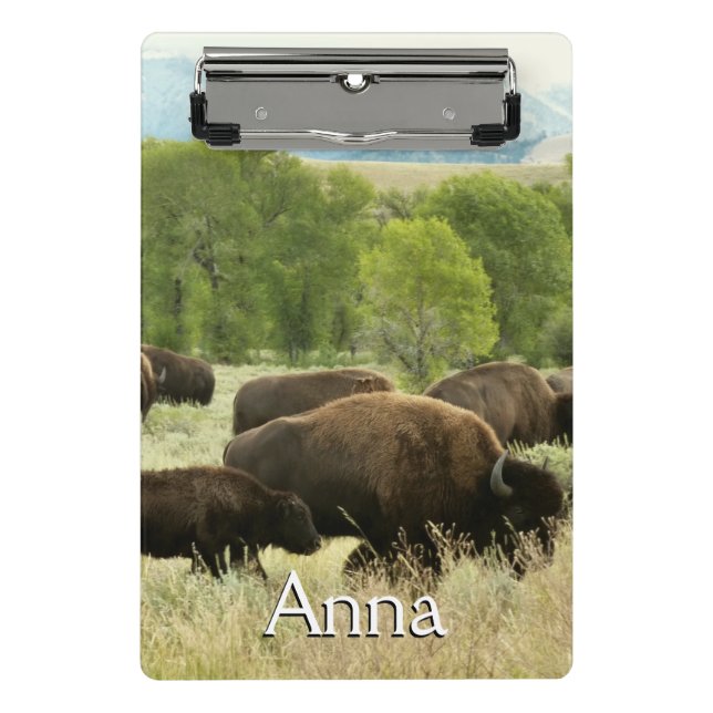 Wyoming-Bisons Mini Klemmbrett (Vorderseite)