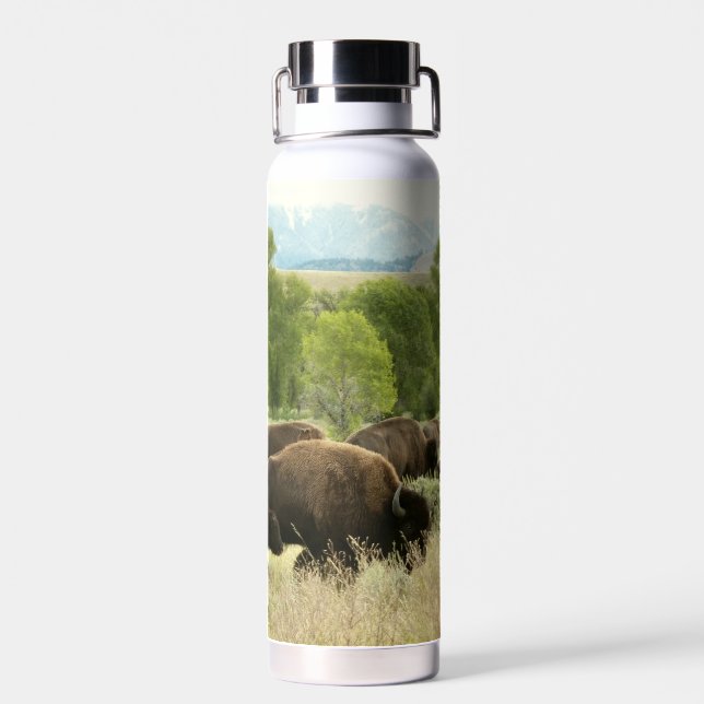 Wyoming Bisons Trinkflasche (Rückseite)