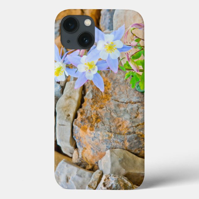 Wyoming, Grand Teton Nationalpark 1 Case-Mate iPhone Hülle (Rückseite)