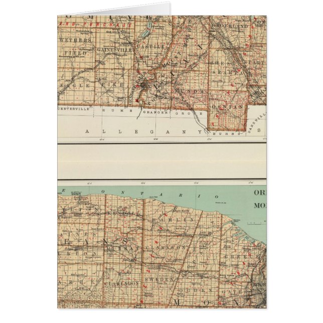 Wyoming, Livingston, Orleans, Genese (Vorne)