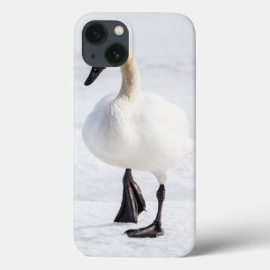 Wyoming, nationaler Elch-Schutz, Trompeters-Schwan Case-Mate iPhone Hülle