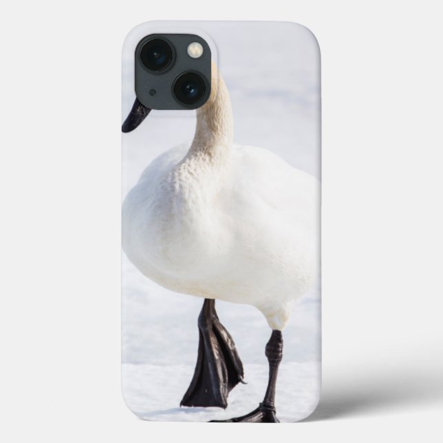 Wyoming, nationaler Elch-Schutz, Trompeters-Schwan Case-Mate iPhone Hülle (Rückseite)