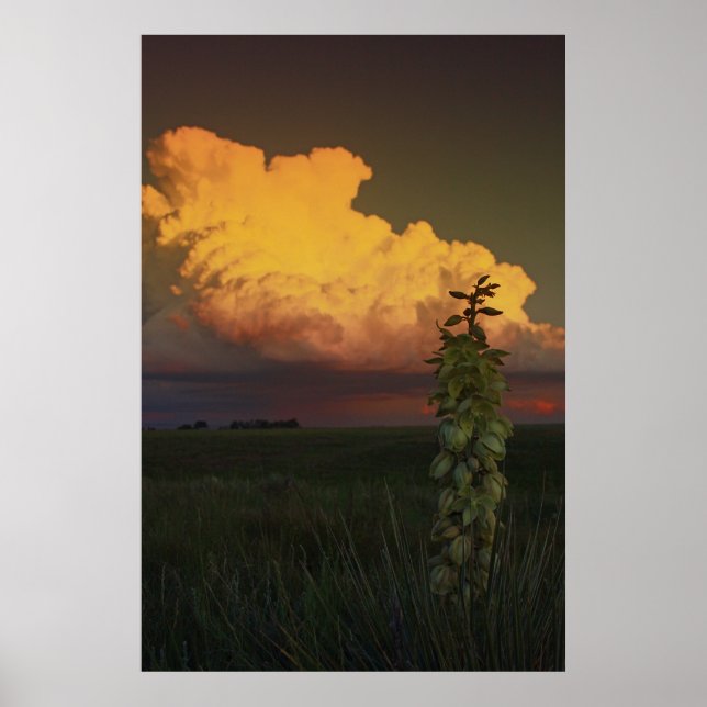 Wyoming Poster (Vorne)