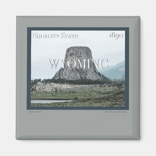 Wyoming Poster Magnet (Vorne)