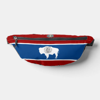 Wyoming State flag-Seal
