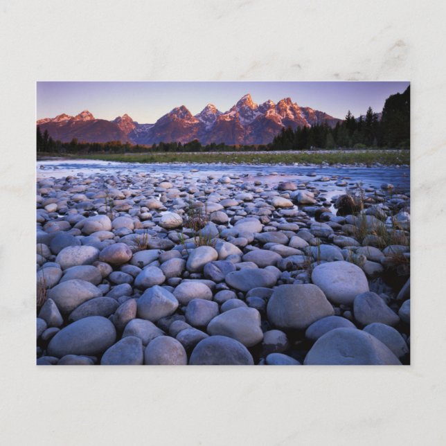 Wyoming, Teton National Park, Snake River Postkarte (Vorderseite)