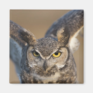 Wyoming, USA 2 Magnet