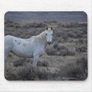 Wyoming, USA Mousepad