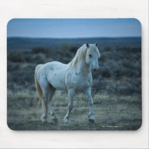 Wyoming, USA Mousepad