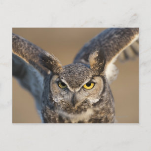 Wyoming, USA Postkarte