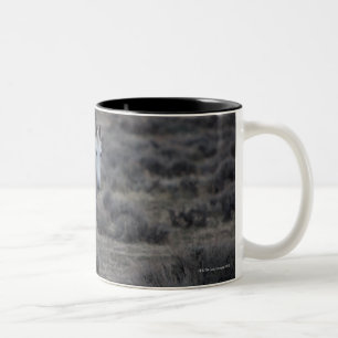 Wyoming, USA Zweifarbige Tasse